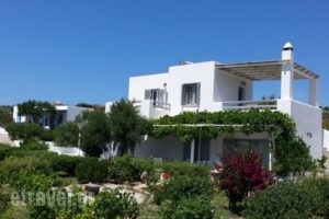 Iliana Rooms & Apartments_best deals_Room_Cyclades Islands_Milos_Milos Chora