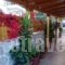 Karya Studios_best deals_Hotel_Ionian Islands_Lefkada_Lefkada Rest Areas