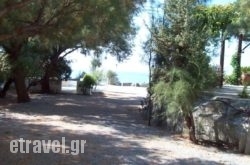 Oasis Studios in Mykonos Chora, Mykonos, Cyclades Islands