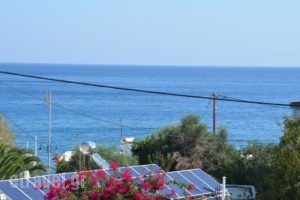 Olympus Apartments_lowest prices_in_Apartment_Dodekanessos Islands_Tilos_Livadia