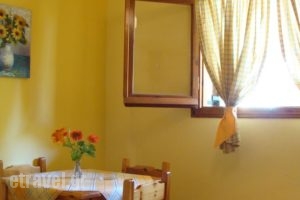 Alexandros & Gerekos Apartments_holidays_in_Apartment_Ionian Islands_Corfu_Kondokali