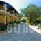 Villa Katerina Apartments_accommodation_in_Villa_Ionian Islands_Corfu_Corfu Rest Areas