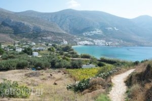 Amorgi Studios_lowest prices_in_Hotel_Cyclades Islands_Amorgos_Amorgos Chora