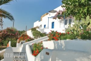 Kritikakis Village Hotel_travel_packages_in_Cyclades Islands_Ios_Ios Chora