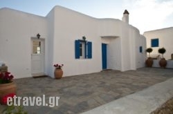 Aerides in Andros Chora, Andros, Cyclades Islands