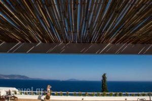 Villa Artisti Marathon_best prices_in_Villa_Central Greece_Attica_Marathonas