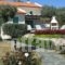 Deliades Villas Alonissos_best deals_Villa_Sporades Islands_Alonnisos_Alonissos Chora