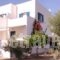 Aggelos Studios_lowest prices_in_Hotel_Cyclades Islands_Naxos_Naxos chora