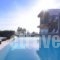 Stefanos Villa Lagonissi_best prices_in_Villa_Central Greece_Attica_Athens