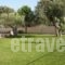 Onar Studios_best deals_Hotel_Macedonia_Halkidiki_Kassandreia