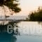 Villa Alegria_best deals_Villa_Central Greece_Attica_Athens