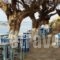 Melani Apartments_best deals_Apartment_Crete_Chania_Daratsos