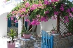 Rocco’s Studios in Naousa, Paros, Cyclades Islands