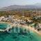 Kalia Studios_accommodation_in_Hotel_Cyclades Islands_Naxos_Naxos chora