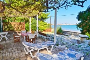 Turtle Beach House_accommodation_in_Hotel_Ionian Islands_Zakinthos_Laganas