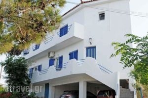 Haris Apartments_best deals_Apartment_Aegean Islands_Ikaria_Raches