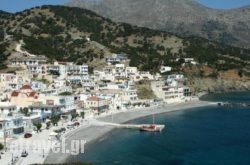 Thalassa View Apartments in Agia Anna, Naxos, Cyclades Islands