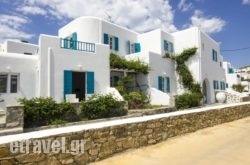 Cyclades Studios in Sivota, Lefkada, Ionian Islands