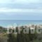 Andre Corfu Village_accommodation_in_Hotel_Ionian Islands_Corfu_Corfu Rest Areas