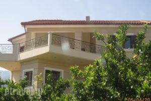 Dimitris Villa_accommodation_in_Villa_Peloponesse_Achaia_Patra