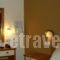 Iridanos_best deals_Hotel_Central Greece_Fokida_Delfi