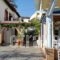 Saronis Hotel_best deals_Hotel_Piraeus Islands - Trizonia_Agistri_Agistri Chora