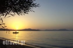 Summer House on the Sandy Beach in  Acharnes (Menidi), Attica, Central Greece