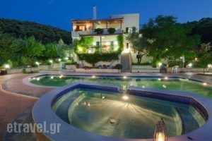 Villa Paradise_travel_packages_in_Central Greece_Evia_Artemisio