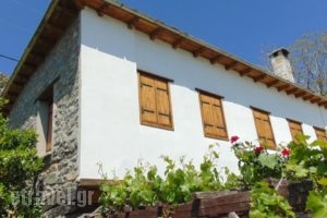 Archontiko Nanou_accommodation_in_Hotel_Thessaly_Magnesia_Makrinitsa