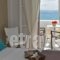 Amaryllis Beach Hotel_lowest prices_in_Hotel_Cyclades Islands_Paros_Paros Rest Areas