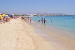 Margaret of Naxos_best deals_Hotel_Cyclades Islands_Naxos_Naxos Chora