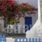 Casa Flora Antiparos_accommodation_in_Hotel_Cyclades Islands_Antiparos_Antiparos Chora