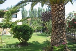 Oscar_accommodation_in_Hotel_Ionian Islands_Zakinthos_Agrilia