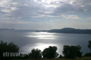 Kripis Studio Paliouri_accommodation_in_Hotel_Macedonia_Halkidiki_Kassandreia