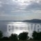 Kripis Studio Paliouri_accommodation_in_Hotel_Macedonia_Halkidiki_Kassandreia