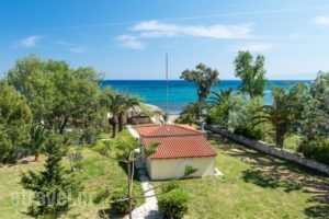 Albouro Seafront Apartments_best prices_in_Apartment_Ionian Islands_Kefalonia_Katelios