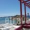 Hotel Palatia_travel_packages_in_Cyclades Islands_Naxos_Naxos chora