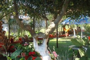 House'S Ouzanna_best deals_Hotel_Macedonia_Halkidiki_Sykia