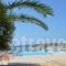 Clio Apartments_holidays_in_Apartment_Crete_Chania_Platanias