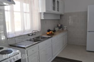 Kalymnos residence_lowest prices_in_Hotel_Dodekanessos Islands_Kalimnos_Kalimnos Chora