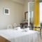 Irena Studios & Apartments_best deals_Apartment_Ionian Islands_Kefalonia_Vlachata