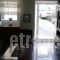 Apartment Maniakos_best deals_Apartment_Aegean Islands_Samos_Pythagorio