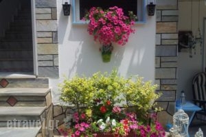 Panorama Apartments_travel_packages_in_Macedonia_Halkidiki_Nea Moudania