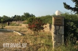 Villa Rania / Zante Drosia in Livadia, Tilos, Dodekanessos Islands