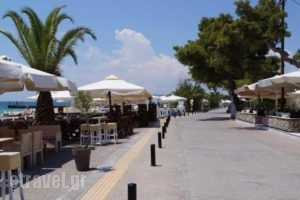 Georgoudi Apartments_best deals_Apartment_Macedonia_Halkidiki_Nikiti