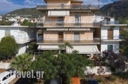 Pension Vienna in Vasiliki, Lefkada, Ionian Islands