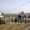 Villa Sandy_best prices_in_Villa_Cyclades Islands_Naxos_Naxos chora