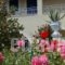 Angelina Apartments_best deals_Apartment_Ionian Islands_Corfu_Roda