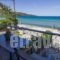 Seabird Apartments_accommodation_in_Apartment_Aegean Islands_Thasos_Chrysi Ammoudia