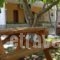 Maistrali Studios Thassos_accommodation_in_Hotel_Aegean Islands_Thasos_Thasos Chora